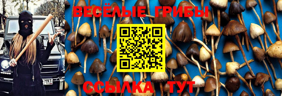 Дзержинский  Галлюциногенные грибы Psilocybe  Псилоцибиновые грибы Psilocybine cubensis  Вход с VPN 